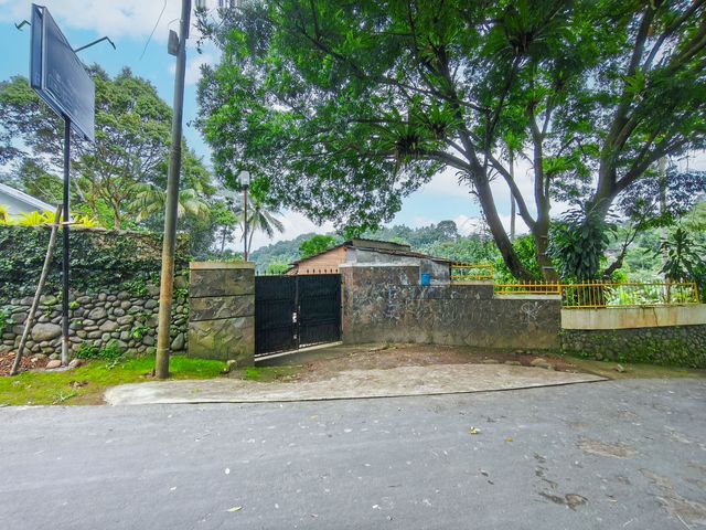 place photo 74