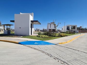 place photo 27