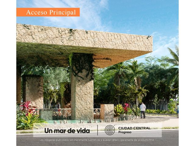 place photo 12