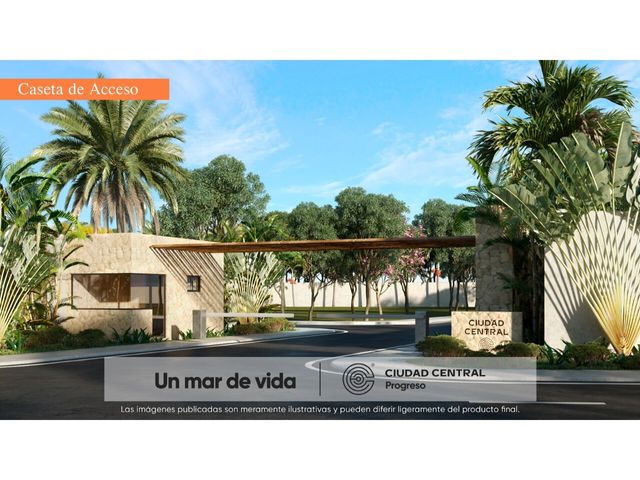place photo 6