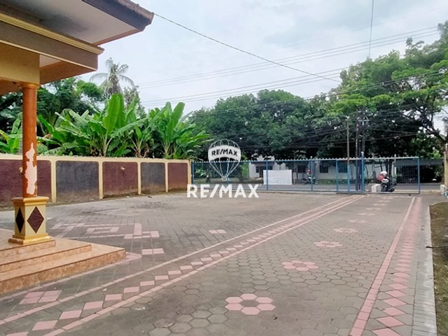 place photo 12