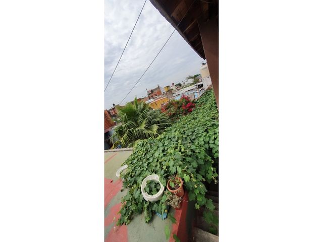 place photo 27