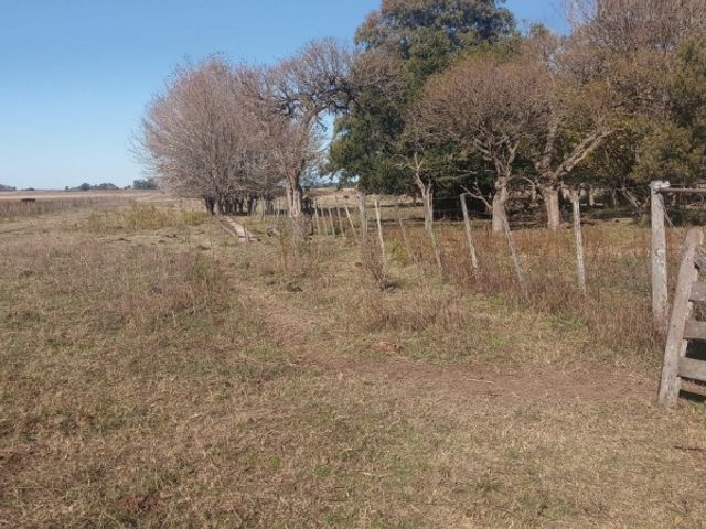 place photo 23
