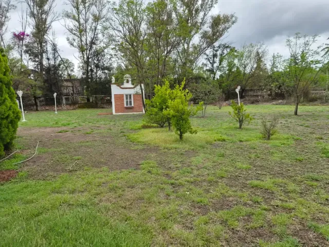 place photo 29