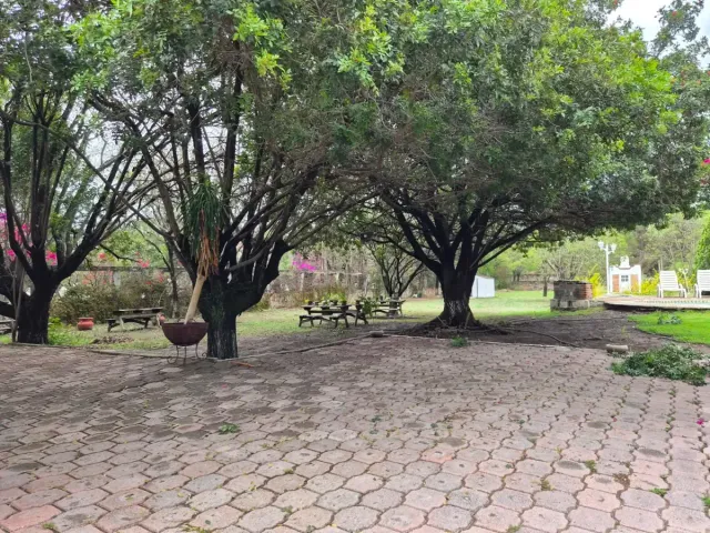 place photo 27