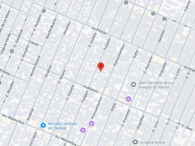 place photo 8