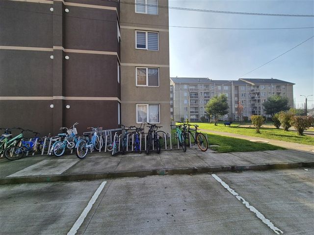 place photo 20