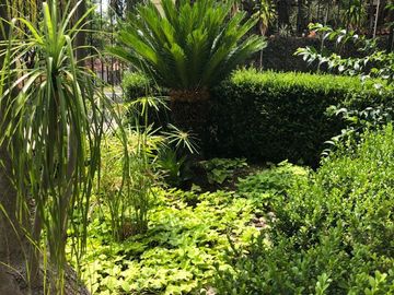 place photo 31