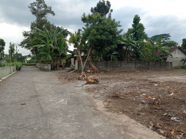 place photo 3