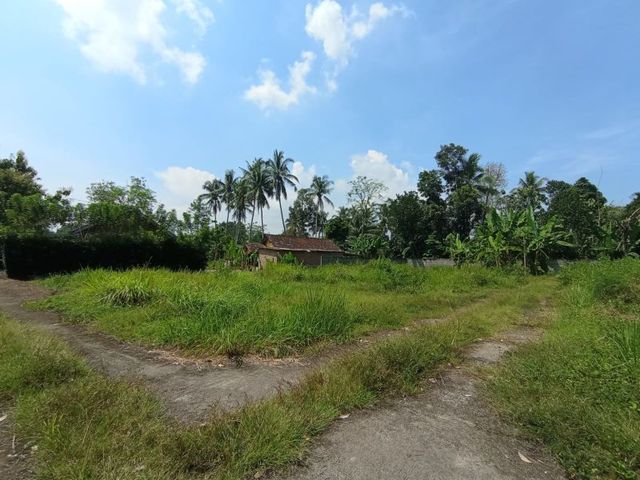 place photo 8