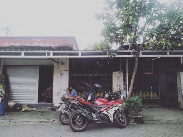 *Dijual Rumah dan Kos : Jl.Raya Lasem - Surabaya.*