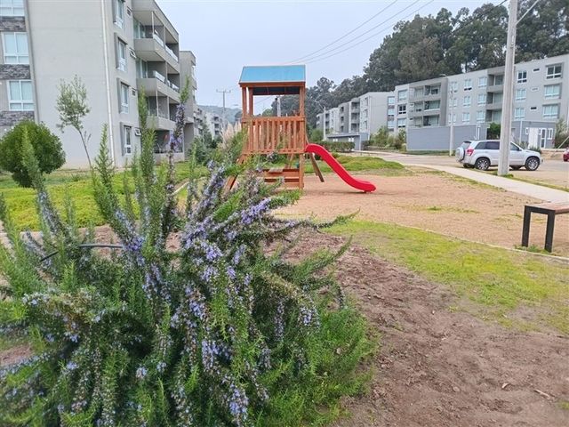 place photo 43