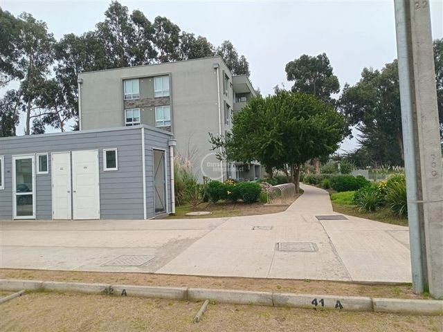 place photo 41