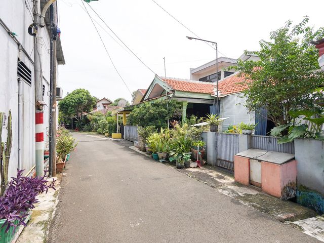 place photo 26