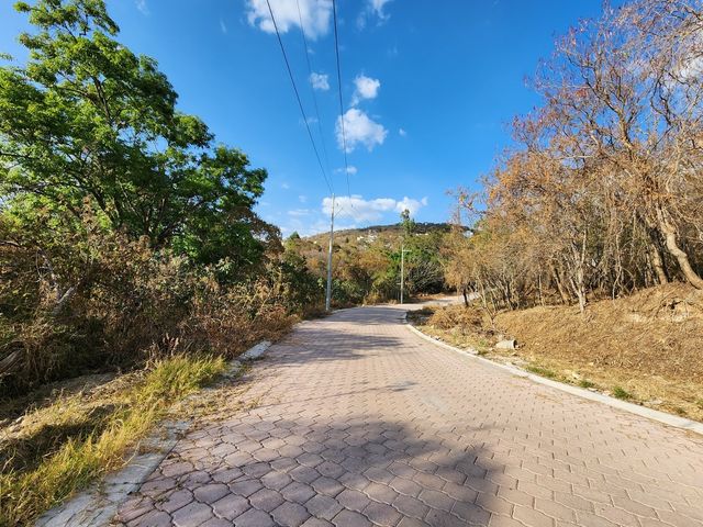 place photo 25