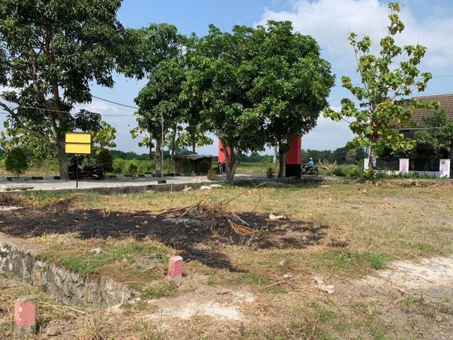 place photo 3