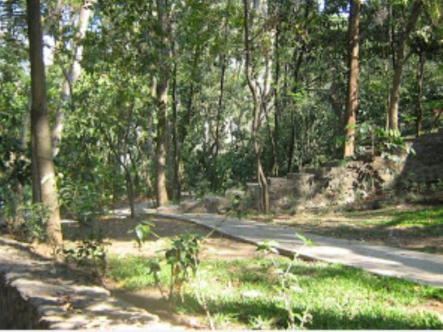 place photo 29