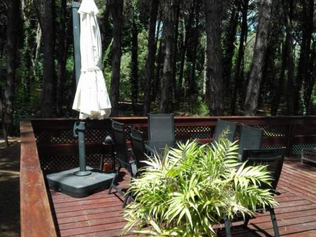 place photo 40