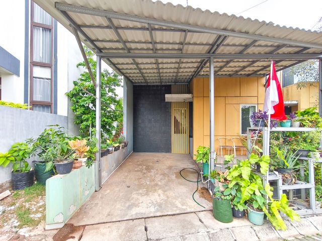 place photo 22