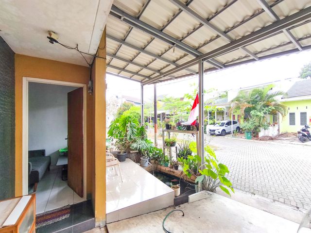 place photo 26