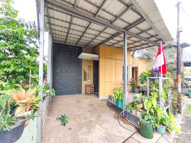 place photo 24