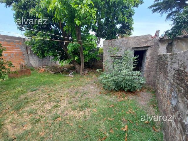 place photo 20