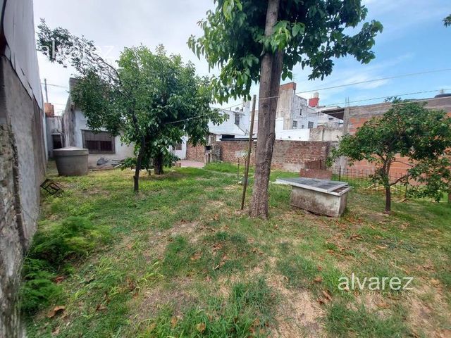 place photo 22