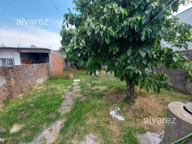 place photo 23