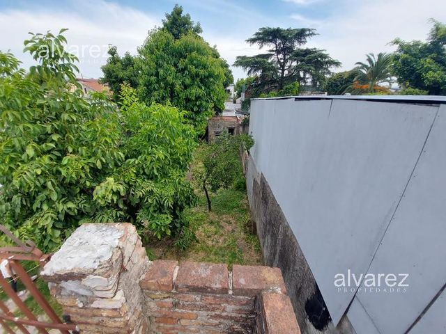 place photo 19