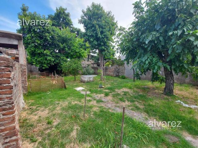 place photo 24