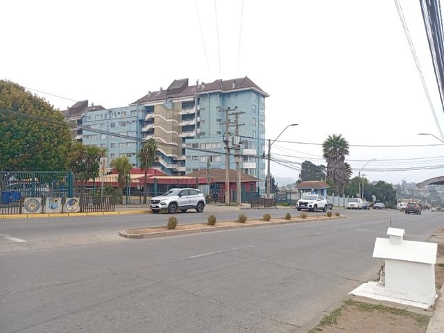 place photo 17