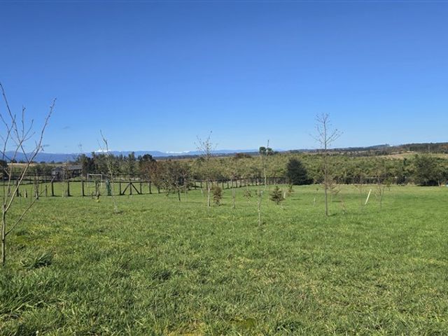 place photo 40