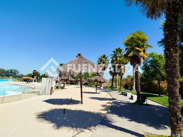 place photo 40