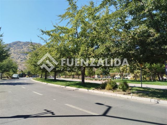 place photo 37