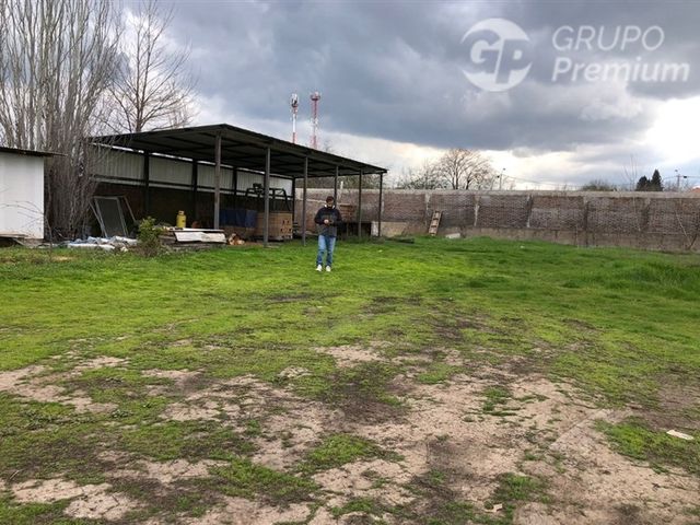 place photo 16