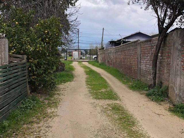 place photo 22