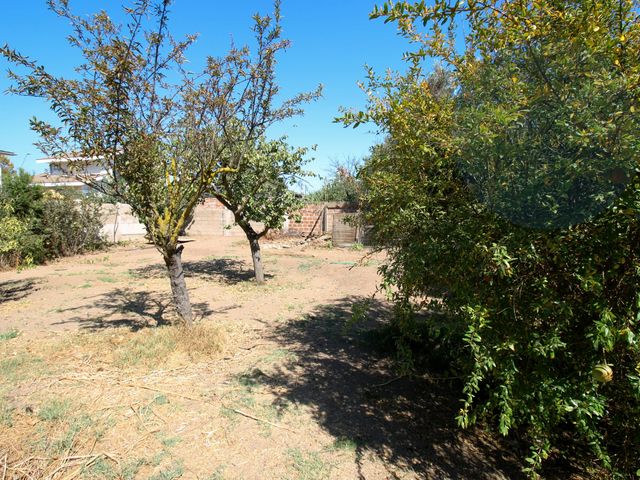 place photo 37