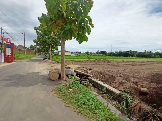 place photo 5
