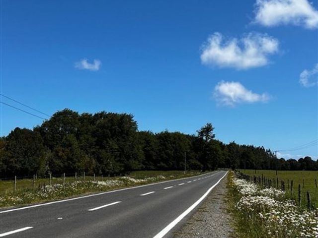 place photo 37
