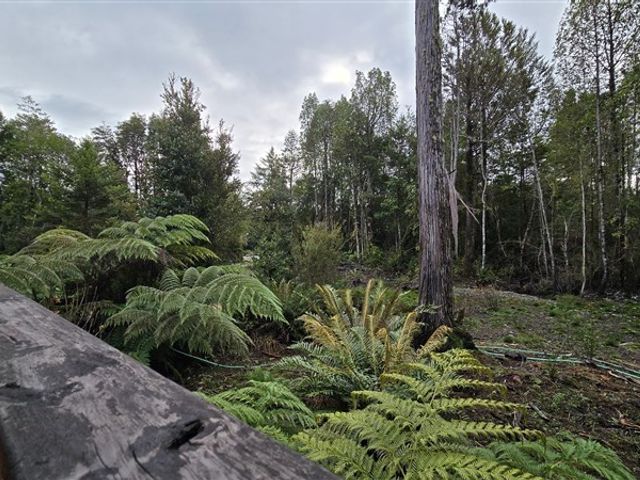 place photo 34