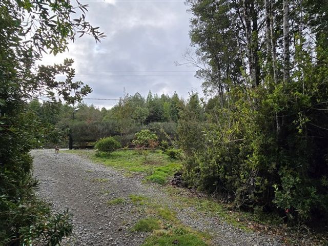 place photo 35