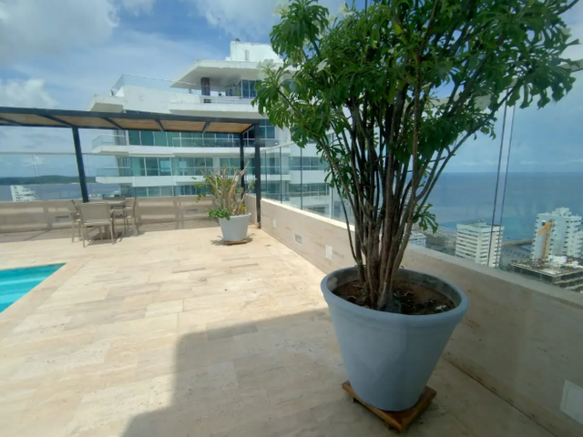 place photo 24
