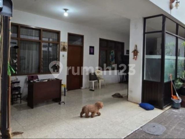 place photo 6