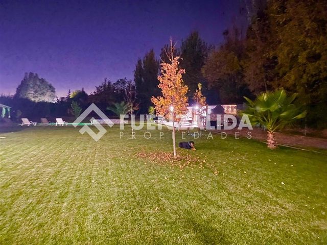 place photo 47