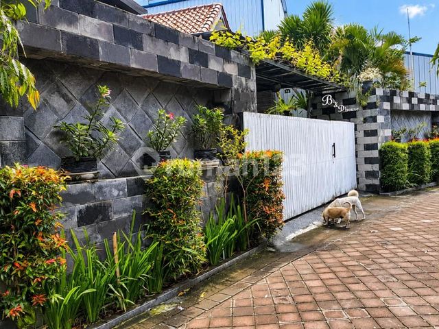 place photo 3