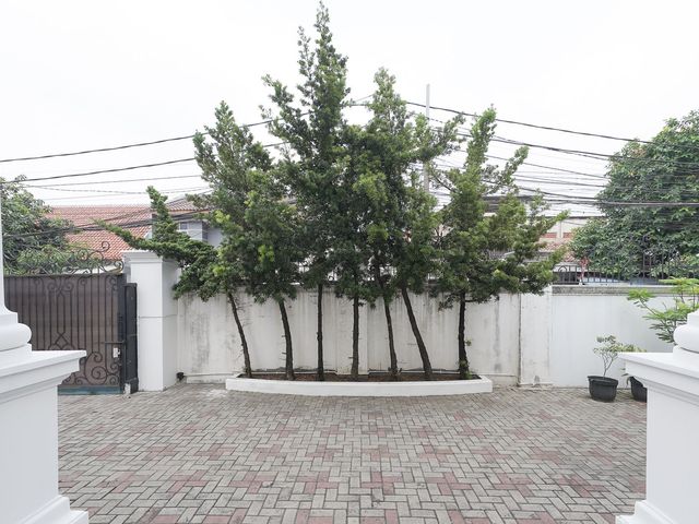 place photo 47