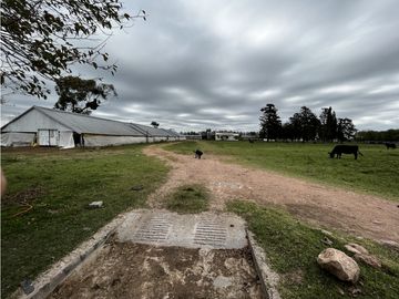 place photo 21
