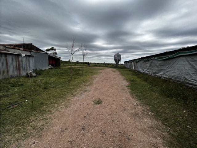 place photo 15