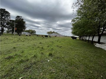 place photo 28