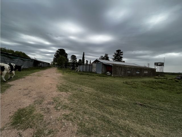 place photo 9